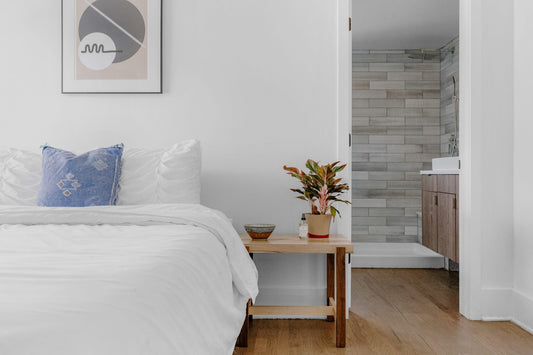What are Bed Bugs & How to Get Rid of Them?