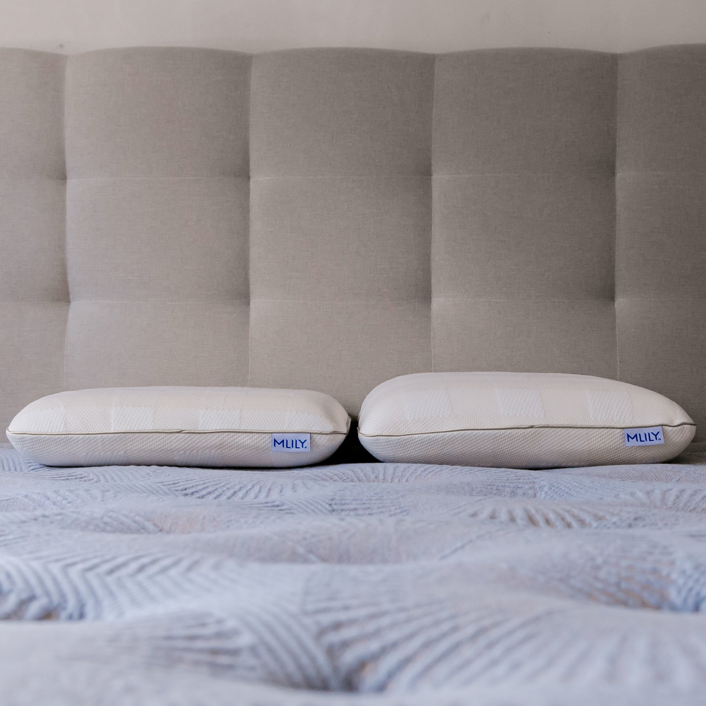 Sanctuary Smart Foam Pillow Low