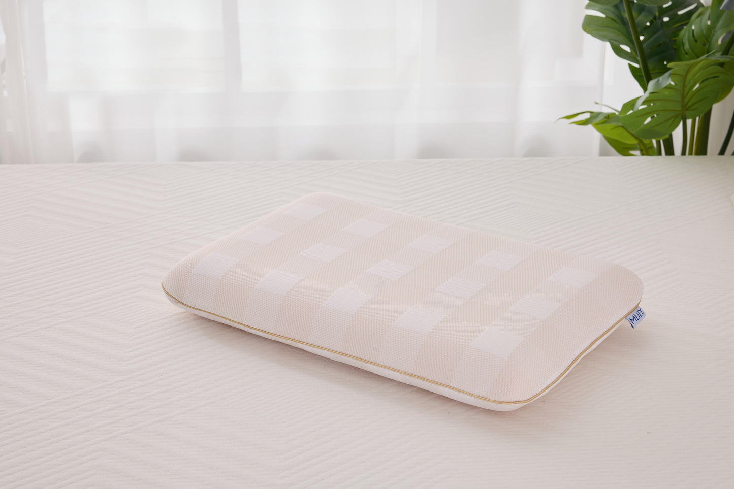 Sanctuary Smart Foam Pillow Low