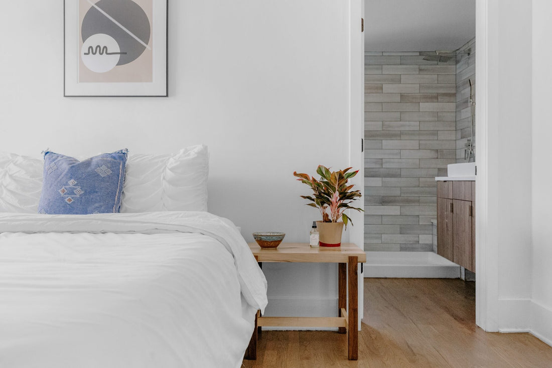 What are Bed Bugs & How to Get Rid of Them?