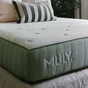 Mlily Mattresses