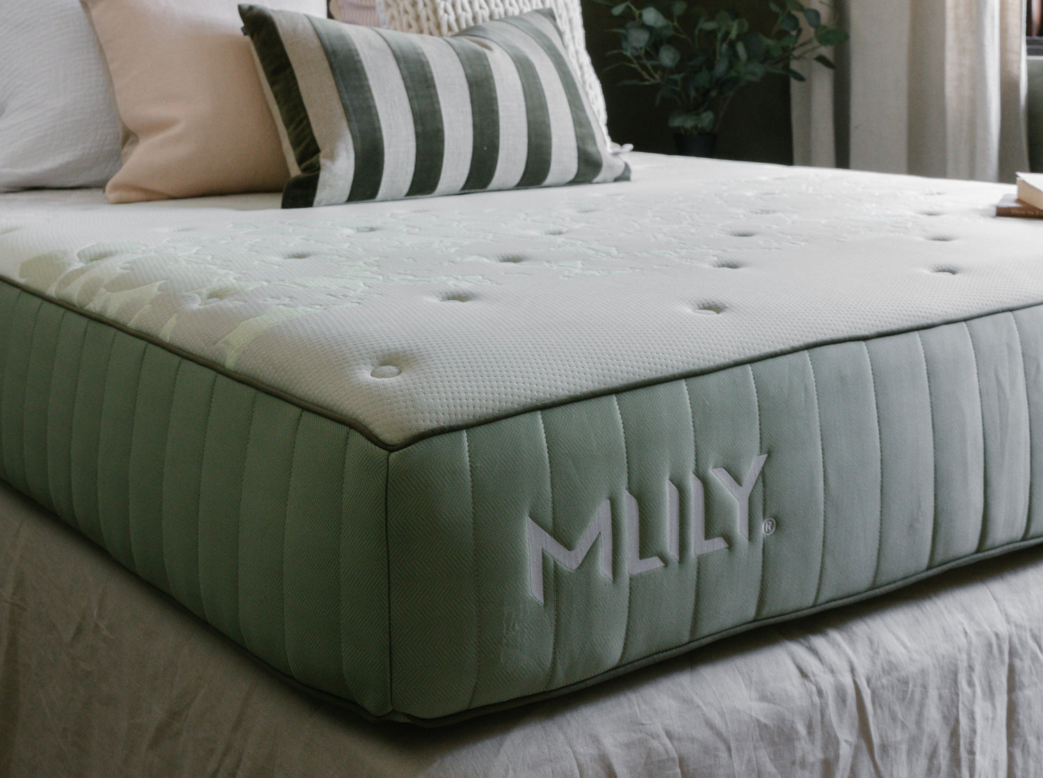 Mlily Mattresses