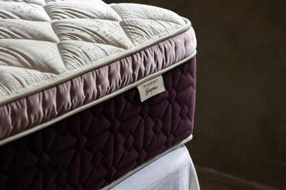 Bespoke Venus