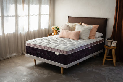 Bespoke Venus