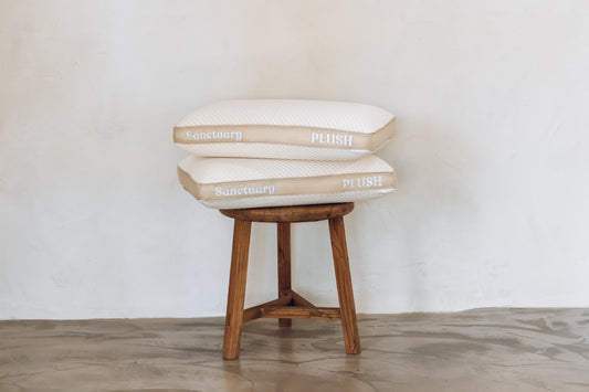 Sanctuary Plush Pillow