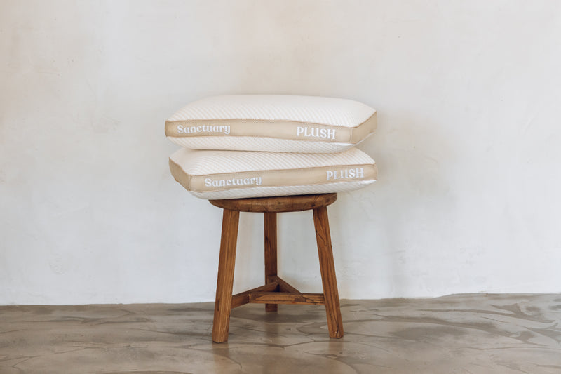 Sanctuary Plush Pillow