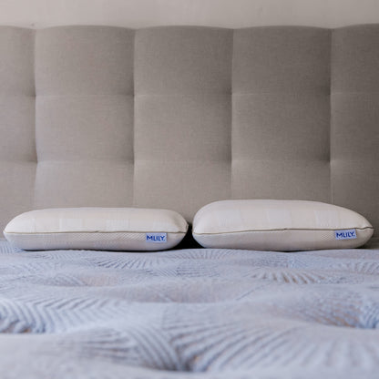Sanctuary Smart Foam Pillow Low