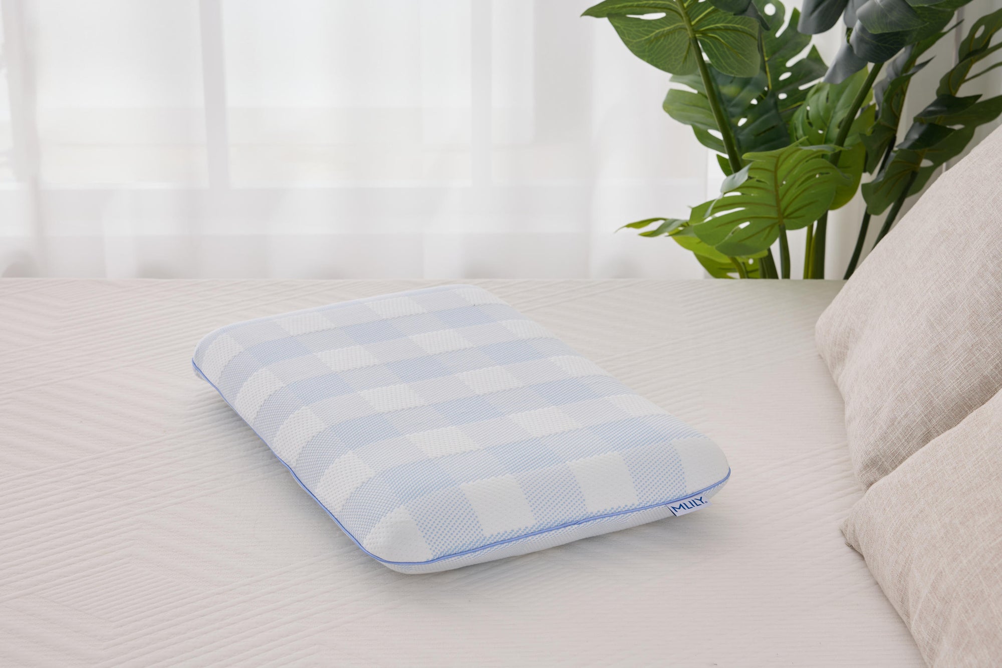 Low Pillows