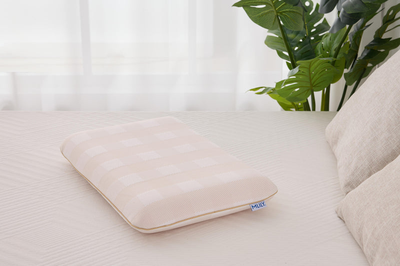 Sanctuary Smart Foam Pillow Low