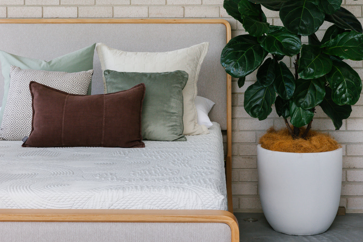Eriksen Rounded Bed Frame